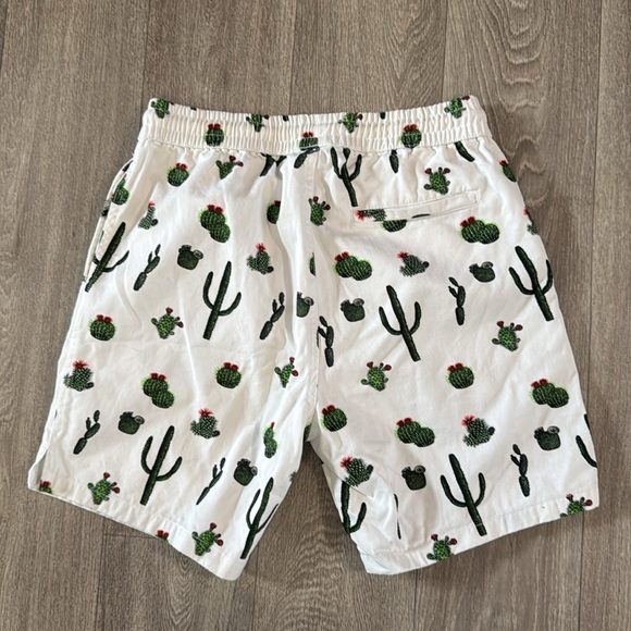 Zipcode cactus design shorts men’s sz M - Picture 5 of 5